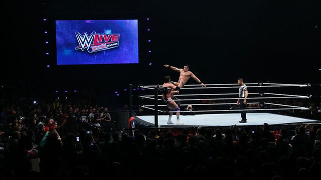 WRESTLING-FRA-US-ENTERTAINMENT-WWE 