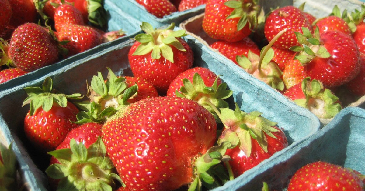 Kenilworth Farmers Market Opens Tuesday Through The Season CBS Baltimore