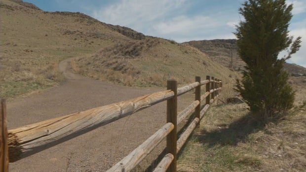 FOREST RESOURCES 5PKG.transfer_frame_1865 