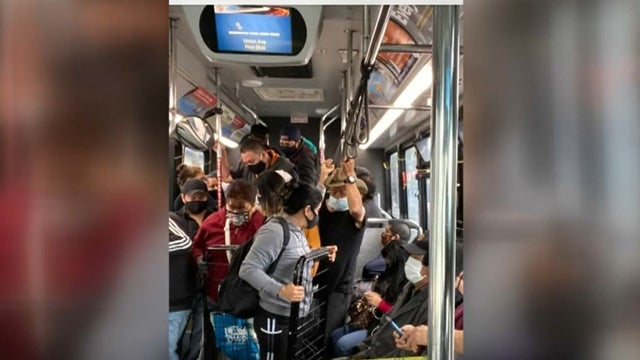 Dash-buses.jpg 