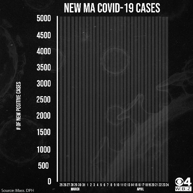 Coronavirus numbers 