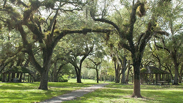 Matheson-Hammock-Park.jpg 
