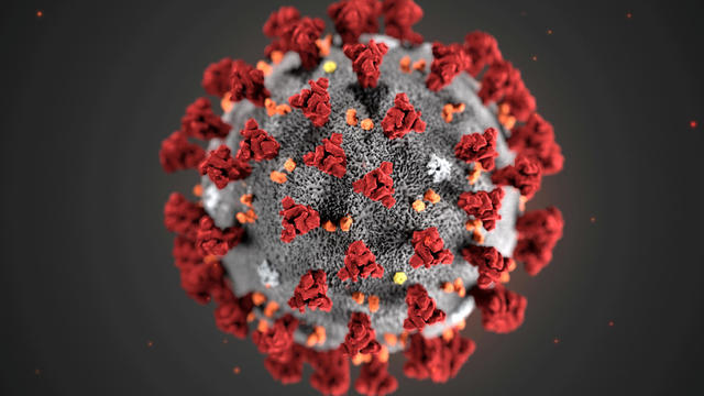 An illustration, created at the Centers for Disease Control and Prevention (CDC), depicts the 2019 Novel Coronavirus 