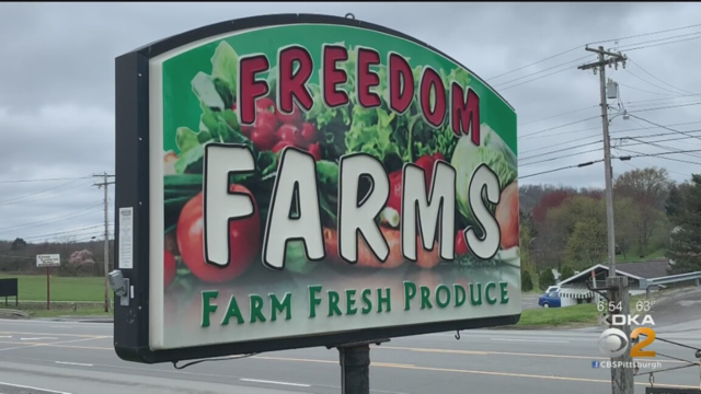 freedom-farms.png 