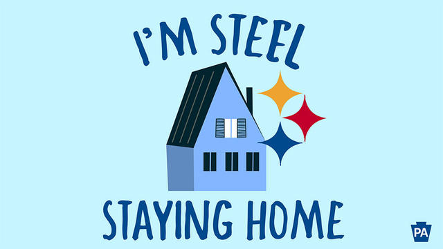 gov-wolf-steelers-message.jpg 