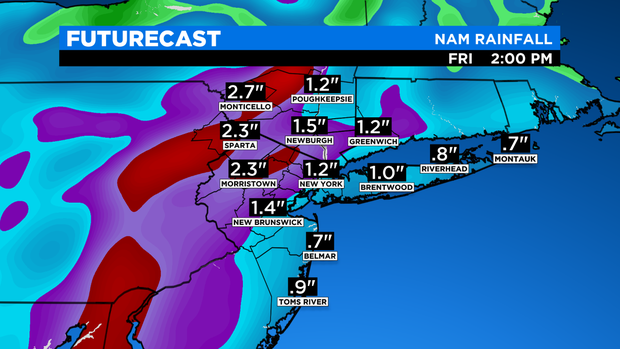 SkyCast FutureCast Rainfall NAM 