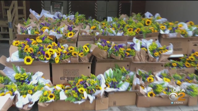 flowers.jpg 