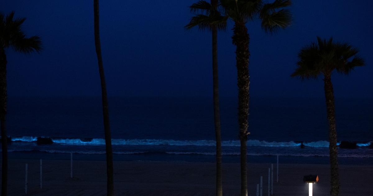 Bioluminescent Waves Light Up Southern California Coasts - CBS Los