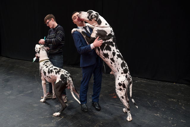 BRITAIN-ANIMAL-DOG-CRUFTS 