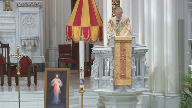 LIMITED MASS RESUMES 5PKG.transfer_frame_2162 