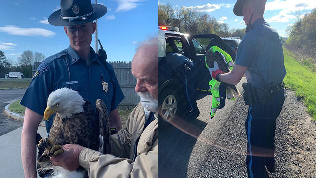state-police-eagle-rescue.jpg 