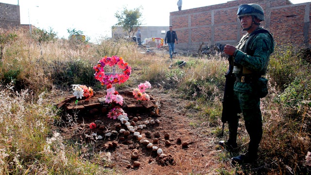 Dogs seen nibbling on human body parts at possible clandestine burial site in Mexico