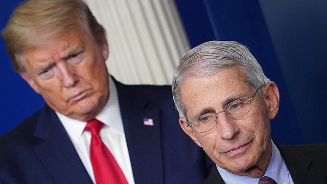 trumpfauci.jpg 