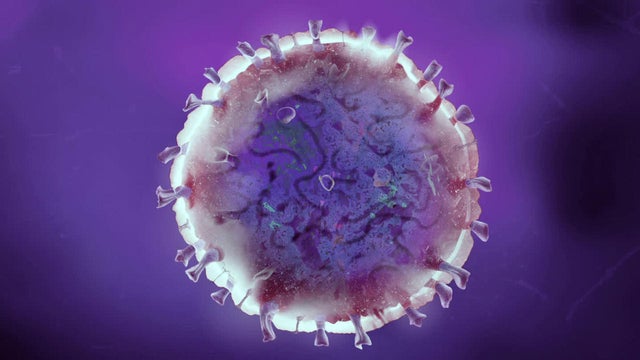 coronavirus-dream-promo.jpg 