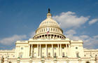 U.S. Capitol In Washington 