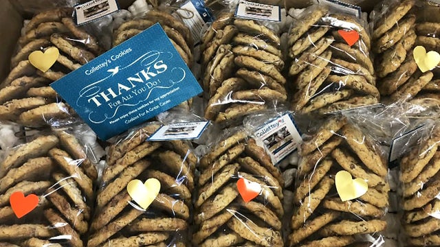 COLLETTEYS-COOKIE_frame_1896.jpg