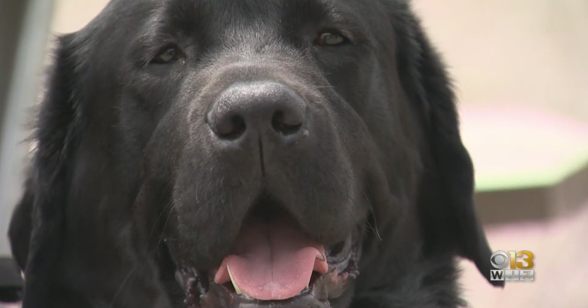 Harford County Sheriff's Office Electronic Storage Detection