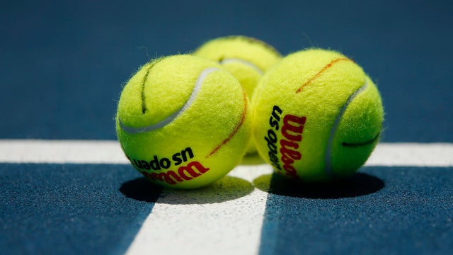 tennis_balls_1226451839.jpg 