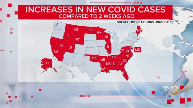 Coronavirus Cases 