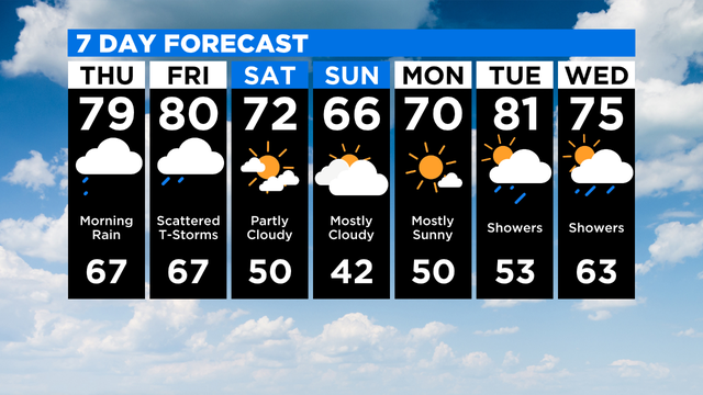 7 Day Forecast