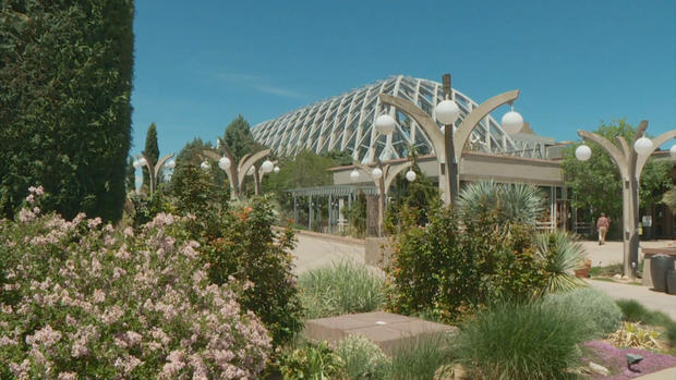 Denver-Botanic-Gardens-6.jpg 