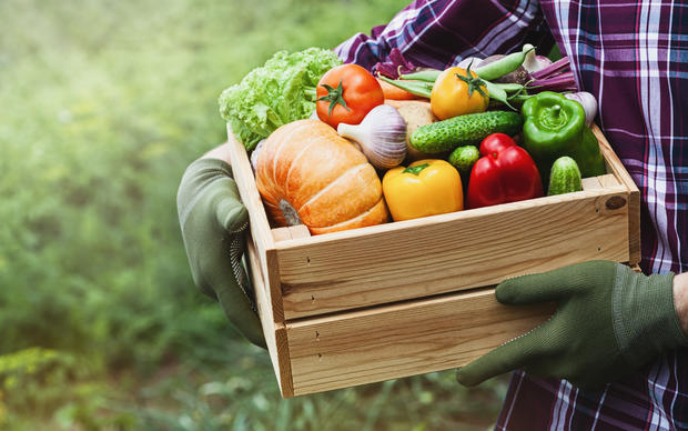 produce Farmer holds in hands wooden box with vegetables produce in garden. Fresh and organic food. 