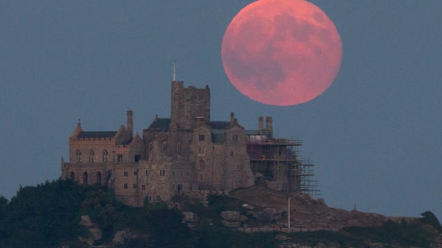 Strawberry Moon Rises Over St Michael's Mount 