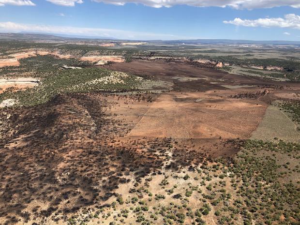 mesa county wildfires (blm) 