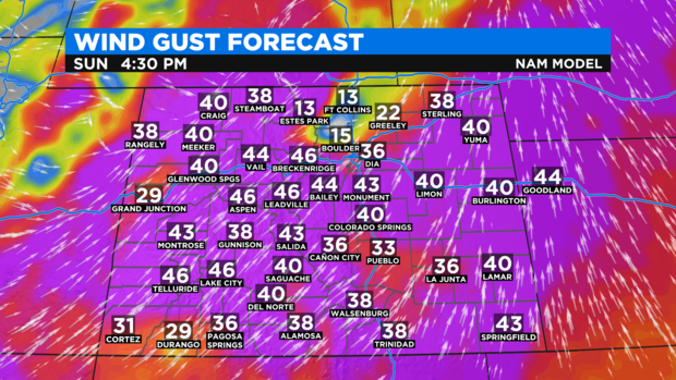 NAM State Wind Gusts 