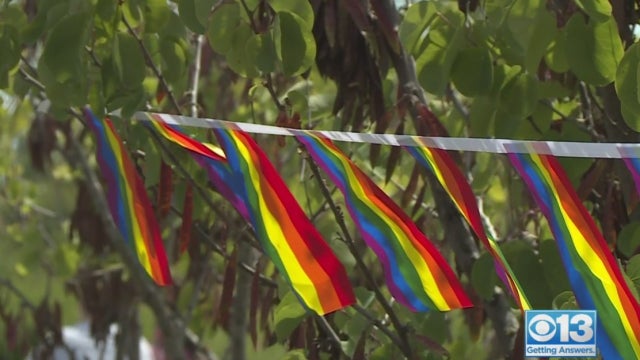 pride-flags-natomas.jpg 