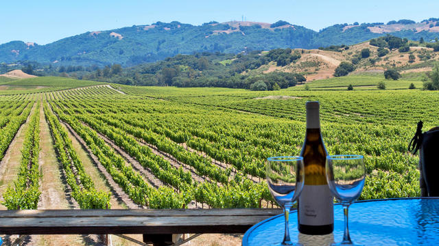 Wineglass On Table Against Farm 