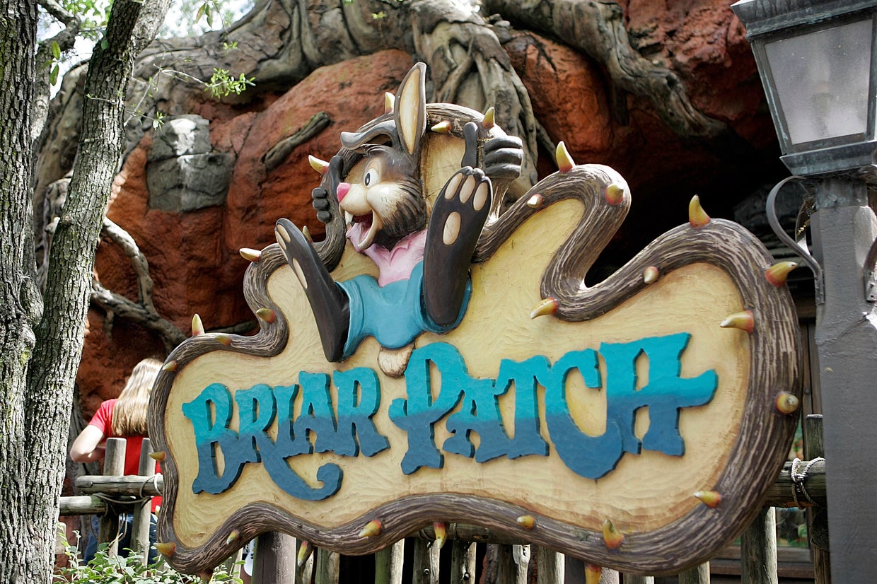 Disney Fans Want Splash Mountain Updated Due To Racist 'Song Of The South'Theme CBS Miami