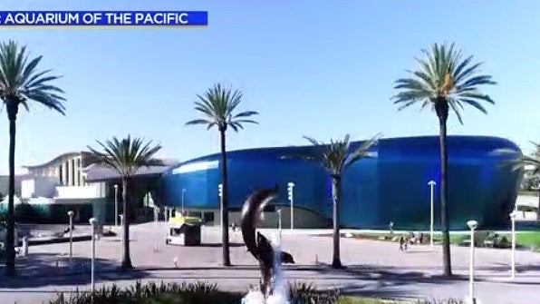 aquarium-of-the-pacific.jpg 