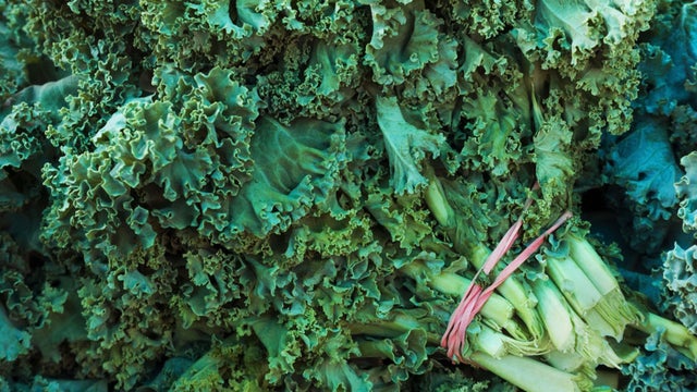 kale.jpg 