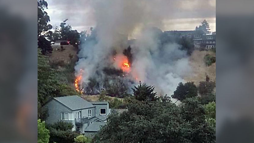 Vegetation Fire in Larkspur 