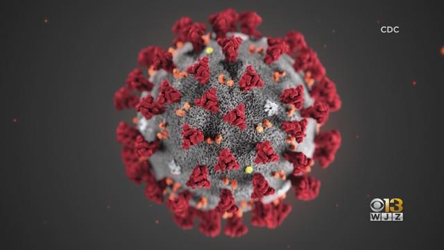 coronavirus.jpg 