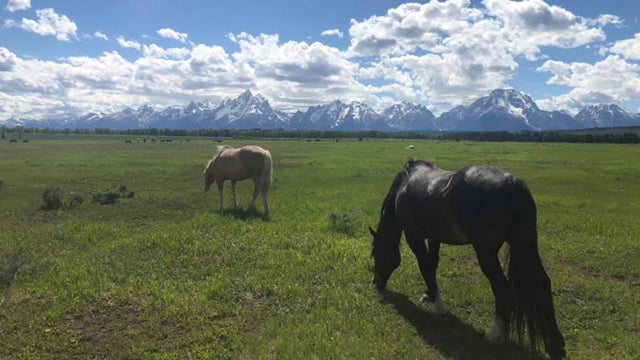 TETONS.jpg 