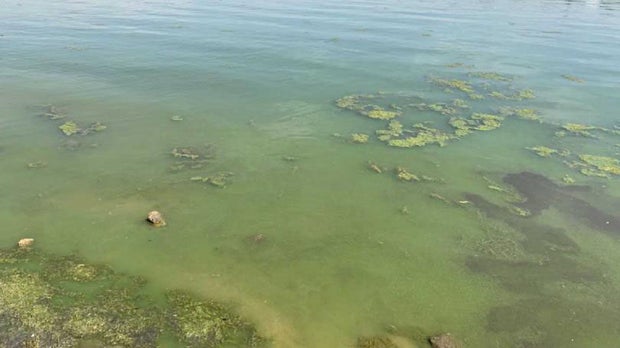 Prospect Lake from City of Colorado Springs