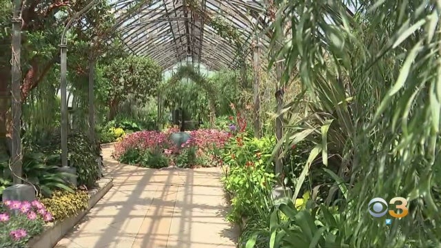 gardens.jpg 