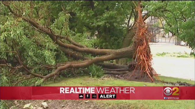 StormDamage0622.jpg 