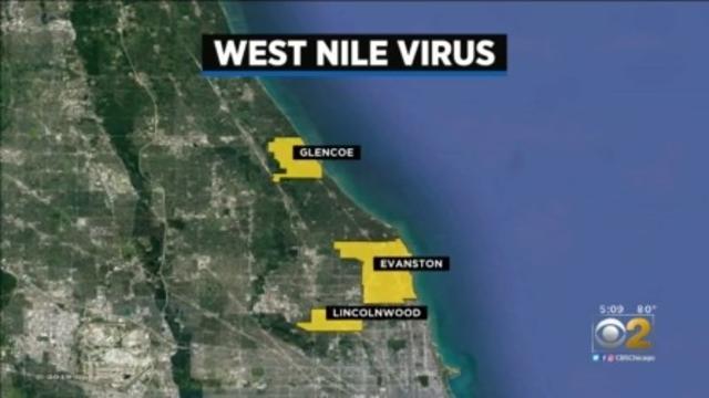 West-Nile-Virus.jpg 