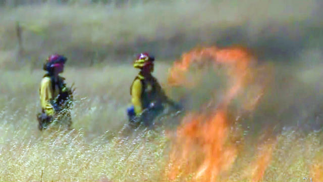 firefight-grassfire.jpg 