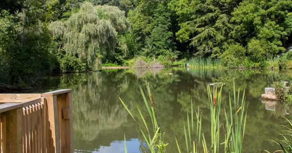 Allegheny County Park Rangers Hiring - CBS Pittsburgh
