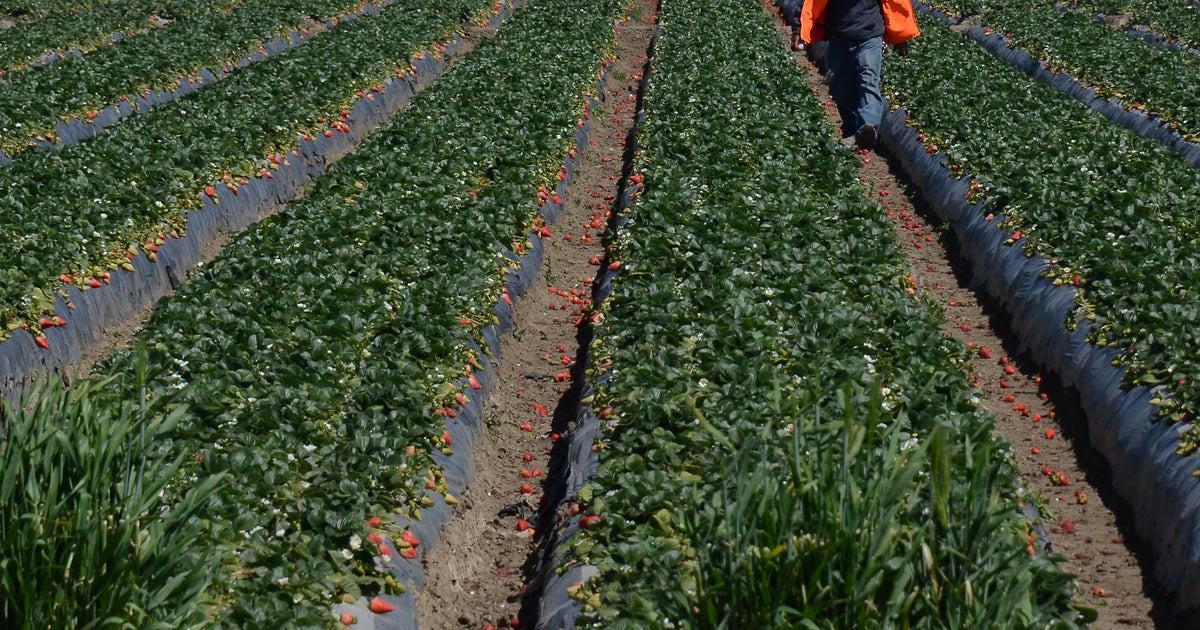 Injunction sought from Florida’s immigration regulation Injunction sought from Florida’s immigration regulation