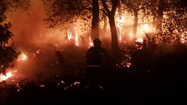 oakland-wildfire-oakland-firefighters-photo.jpg 