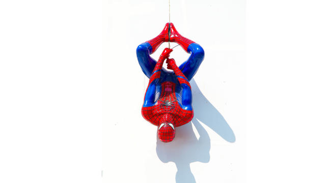 Spiderman_326395172.jpg 