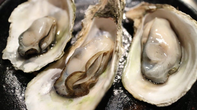 oyster-989182_1280.jpg 