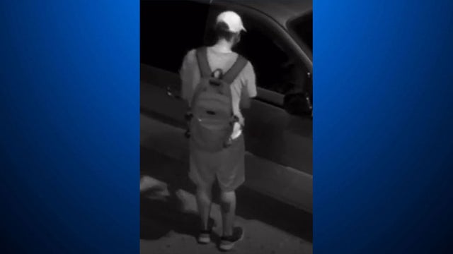 mt-lebanon-police-suspect.jpg 