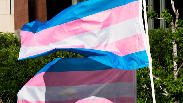 Transgender-Day-flag-LA.jpg 