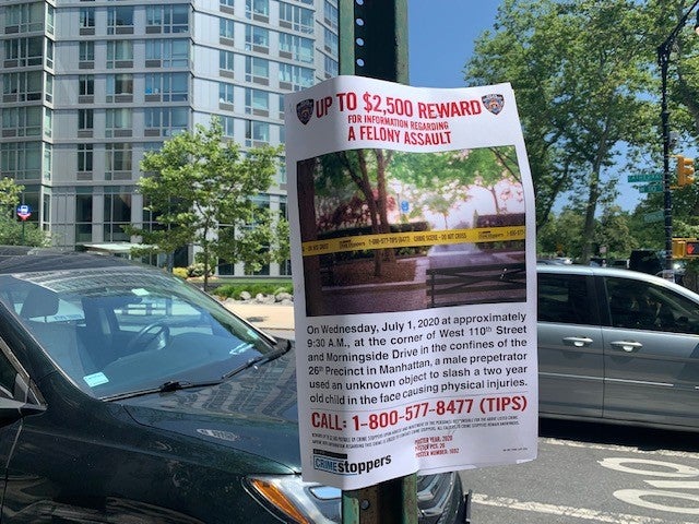 2-year-old Slashed Wanted Poster